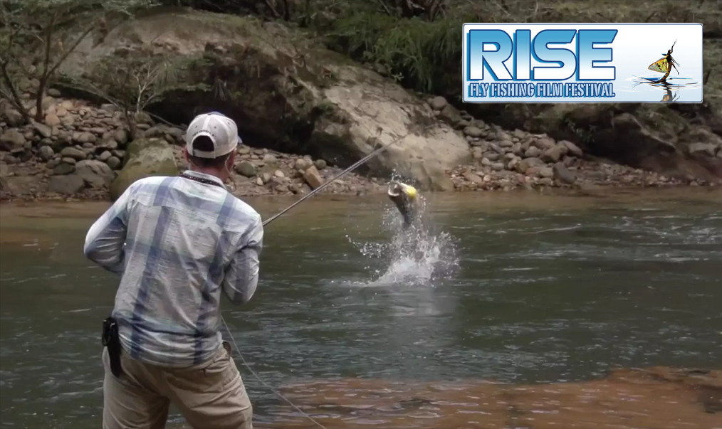 Rise Festival, la pêche à la mouche sur grand écran