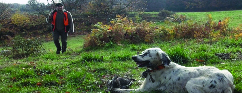 Chasse à la plume