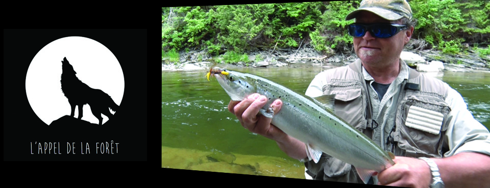 Salmon of Gaspesia